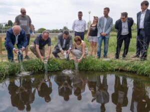 La depuradora de Palau-saverdera impulsa un projecte pioner per afavorir la biodiversitat reforçant les poblacions d'amfibis i preservant l'únic nenúfar autòcton de Catalunya