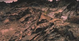 Premi de fotografia "Aigua, natura i Costa Brava"