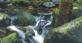 Premi de fotografia "Aigua, natura i Costa Brava"