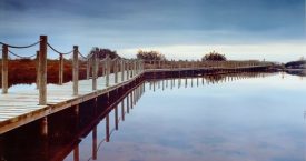 Premi de fotografia "Aigua, natura i Costa Brava"
