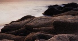 Premi de fotografia "Aigua, natura i Costa Brava"