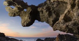 Premi de fotografia "Aigua, natura i Costa Brava"