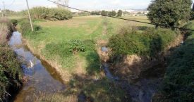 Riera d'Aubi