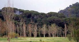 Riera de Tossa
