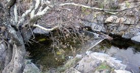 Riera de Molinàs (Colera)