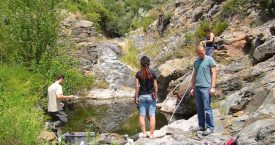Riera de Molinàs (Colera)