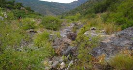 Riera de Molinàs (Colera)
