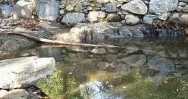 Riera de Calonge