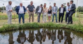 La depuradora de Palau-saverdera impulsa un projecte pioner per afavorir la biodiversitat reforçant les poblacions d'amfibis i preservant l'únic nenúfar autòcton de Catalunya